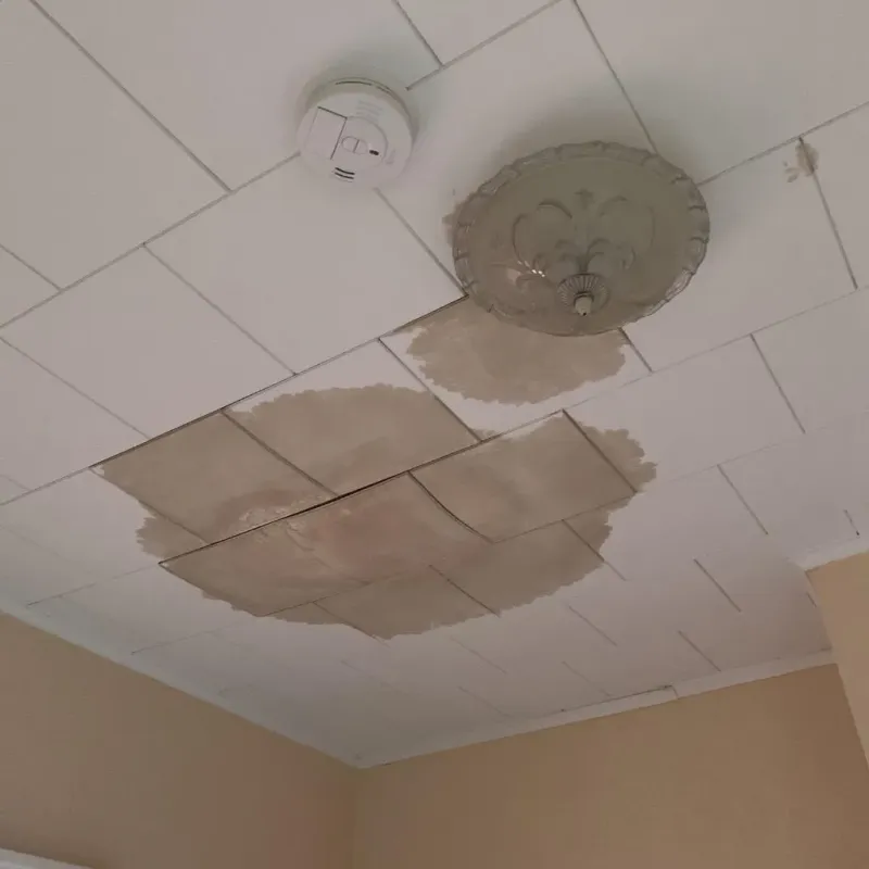 Ceiling Water Damage Repair in New Baltimore, MI