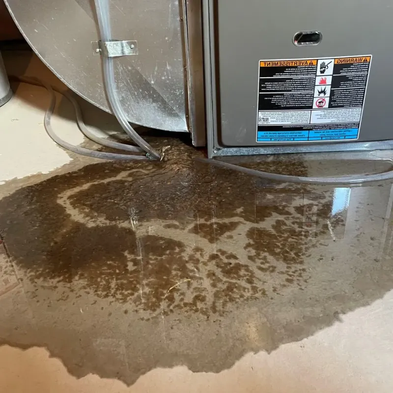 Pipe Burst and Leak Restoration in New Baltimore, MI