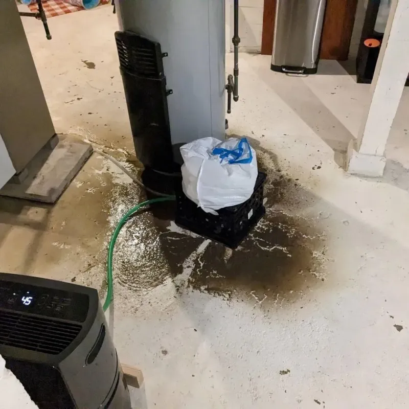 Sewage Backup Cleanup Service in New Baltimore, MI